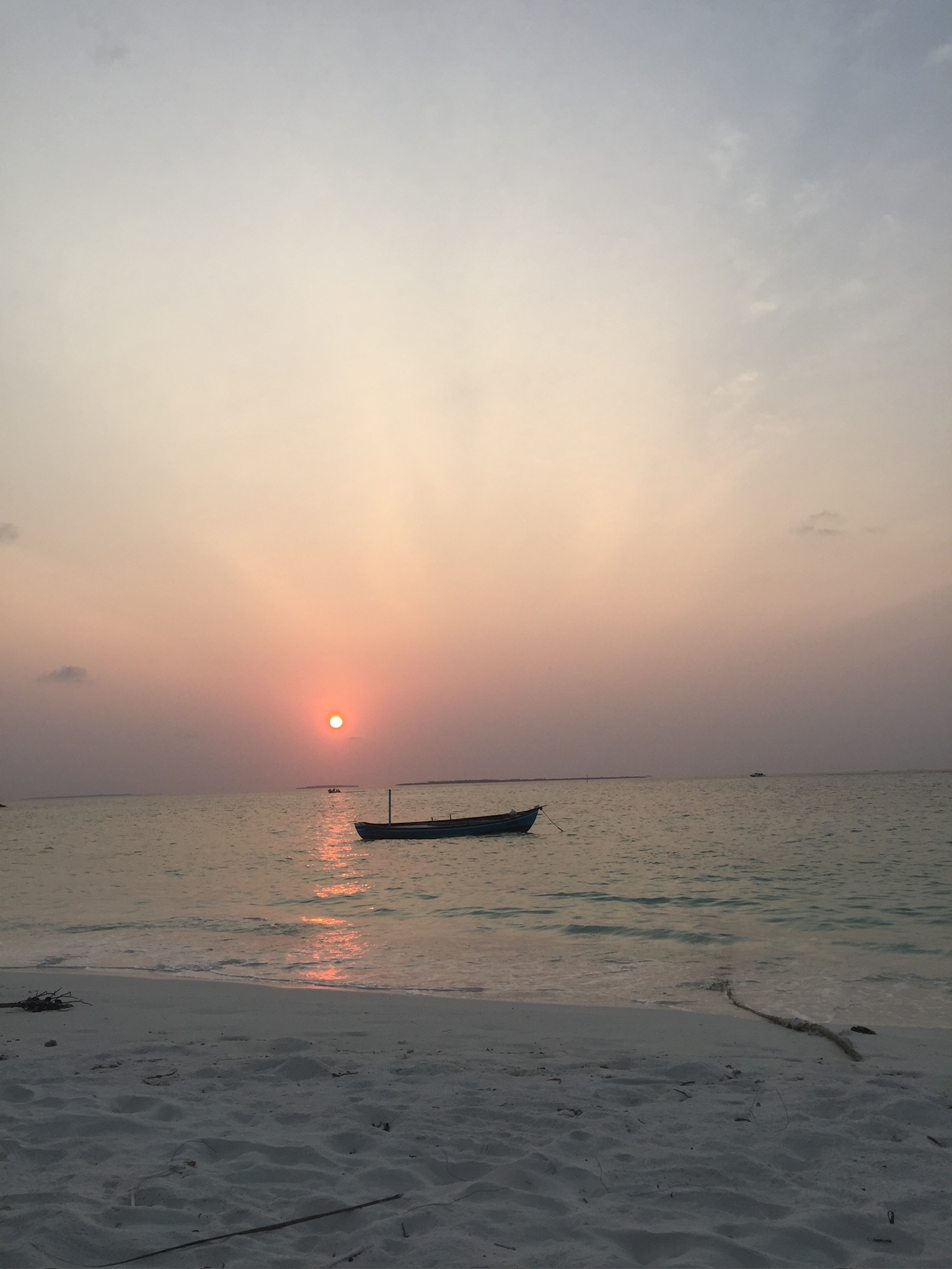 Culture & Food Quest